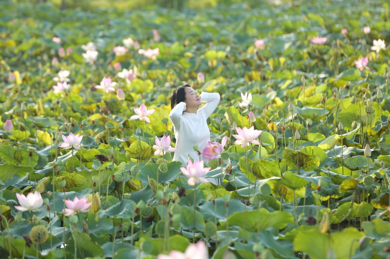 Lotus Hotel Ninh Binh Dış mekan fotoğraf
