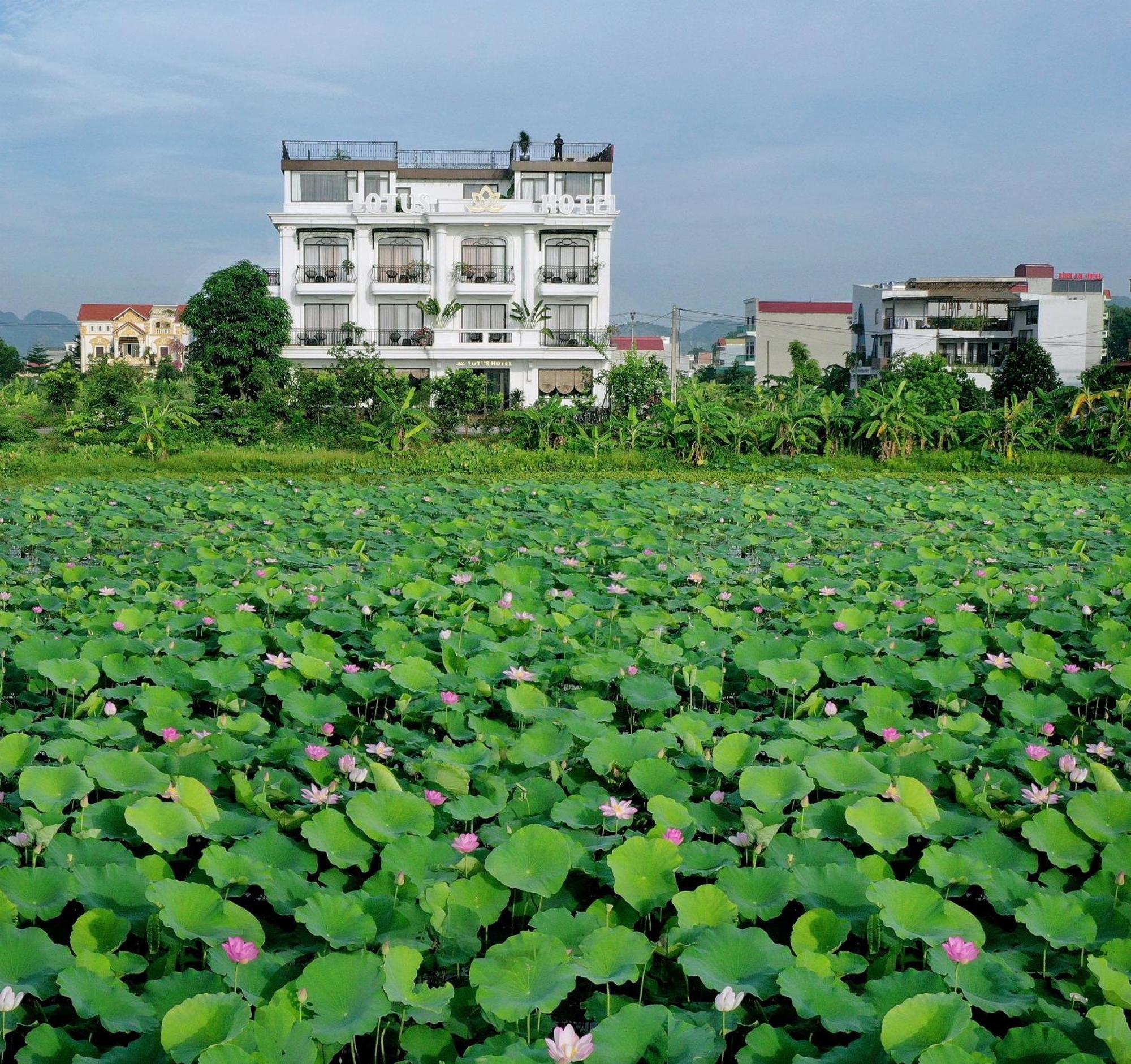 Lotus Hotel Ninh Binh Dış mekan fotoğraf